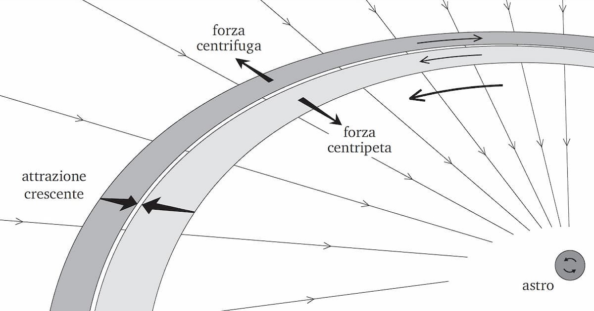 L'anello sottoposto alle due forze